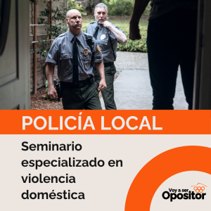 Seminario Especializado En Violencia Doméstica Y De Género Para Opositores A Policía Local: Análisis Práctico De Intervenciones Policiales
