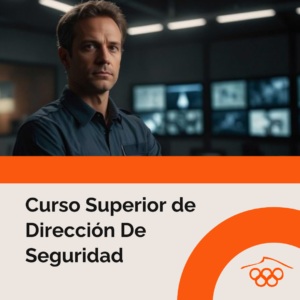 Curso Superior de Dirección de Seguridad Online